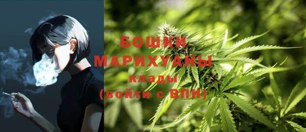 ешки Струнино