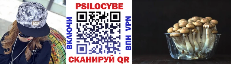 Галлюциногенные грибы Magic Shrooms  блэк спрут зеркало  Осинники 
